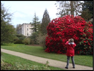 Picton Castle