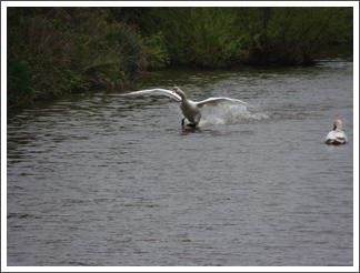 Careful landing