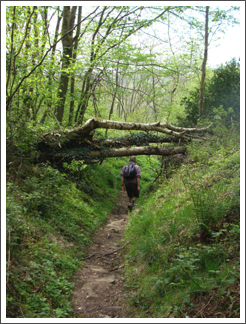 The last obstacle before lunch