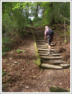 The stairs out of the wood