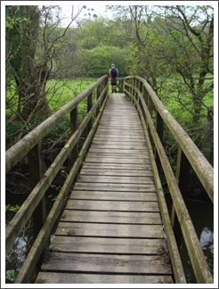 Bridge of the day