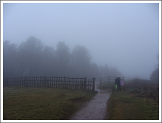 Through the palisade and cloud