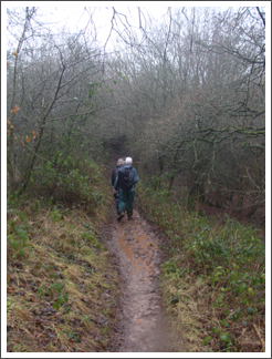 Towards Walton Hill