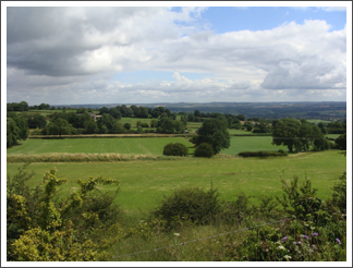 NE from Crich Cliff