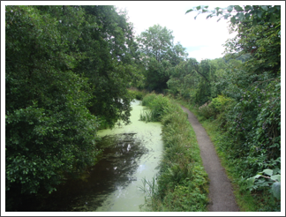 Cromford Canal