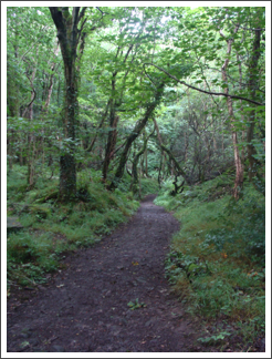 Near Duke's Quarries