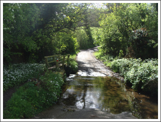 Blackbrook ford