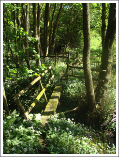 Hole Cottage Foot Bridge