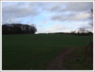 To Bret's Hall Wood