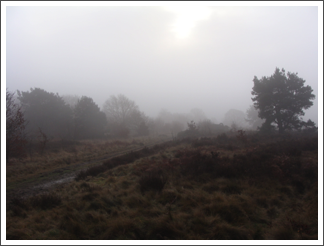 Gentleshaw Common in the morning mist