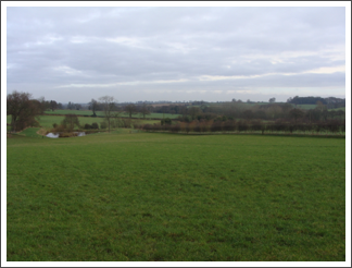 Bilson Brook valley (Before coffee)