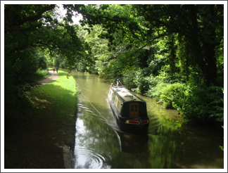 By Hopwas Wood Bridge