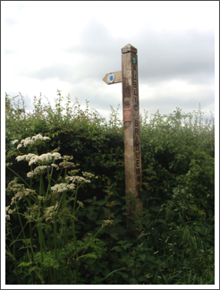 Fudged bridleway